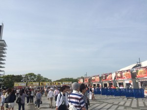 フェス♪