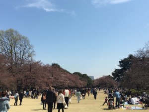 ☆　お花見　そして　☆